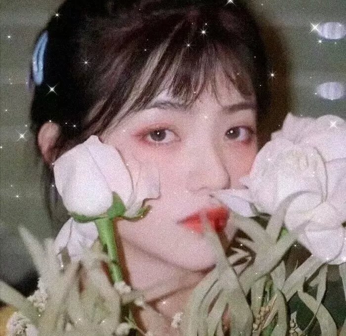 北方1983